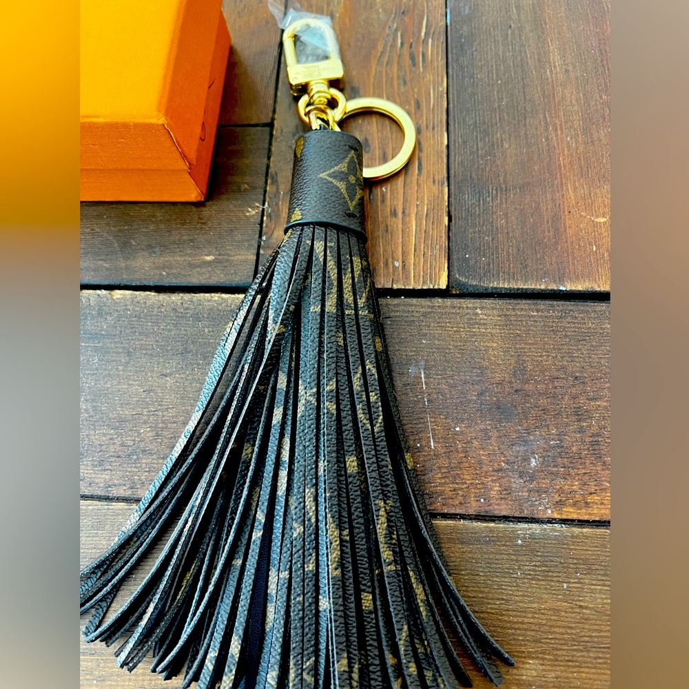 Louis Vuitton large purse/key chain
